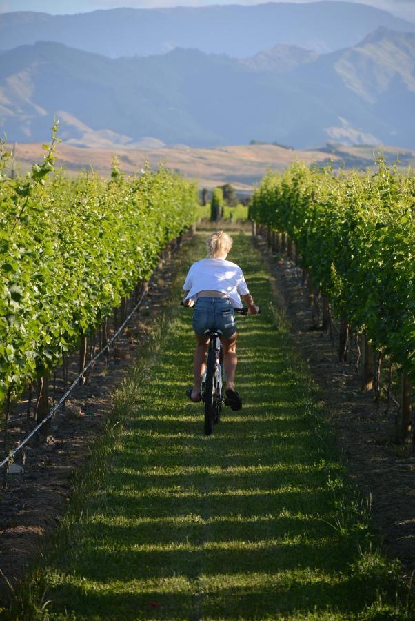 Ddog Vineyard & Bnb Renwick Eksteriør bilde