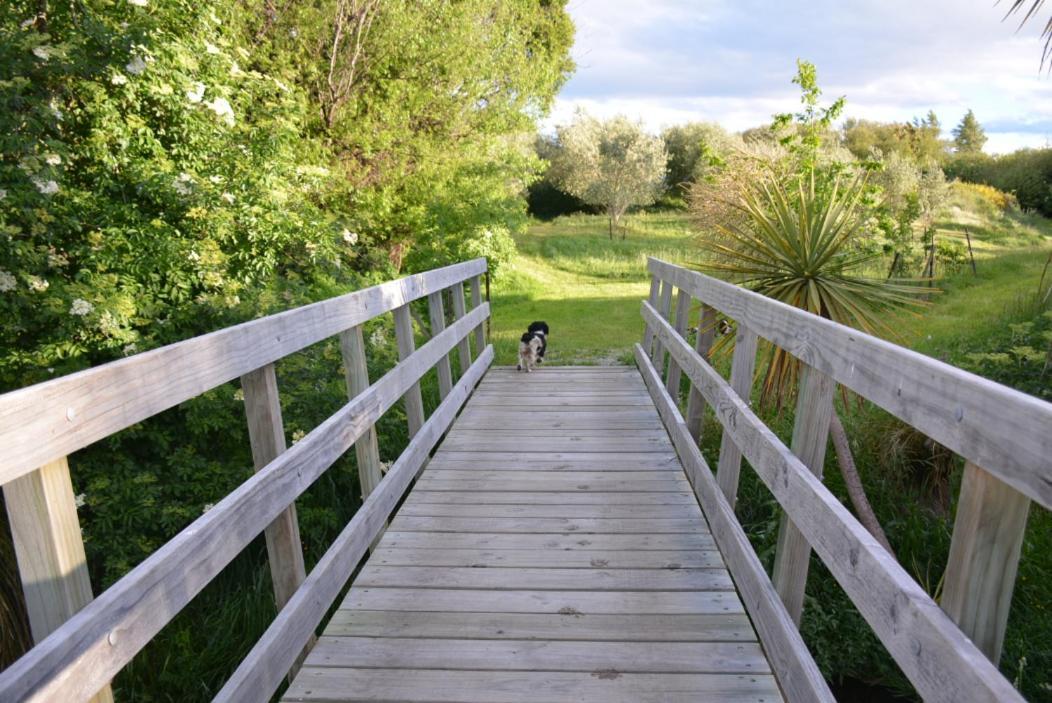 Ddog Vineyard & Bnb Renwick Eksteriør bilde