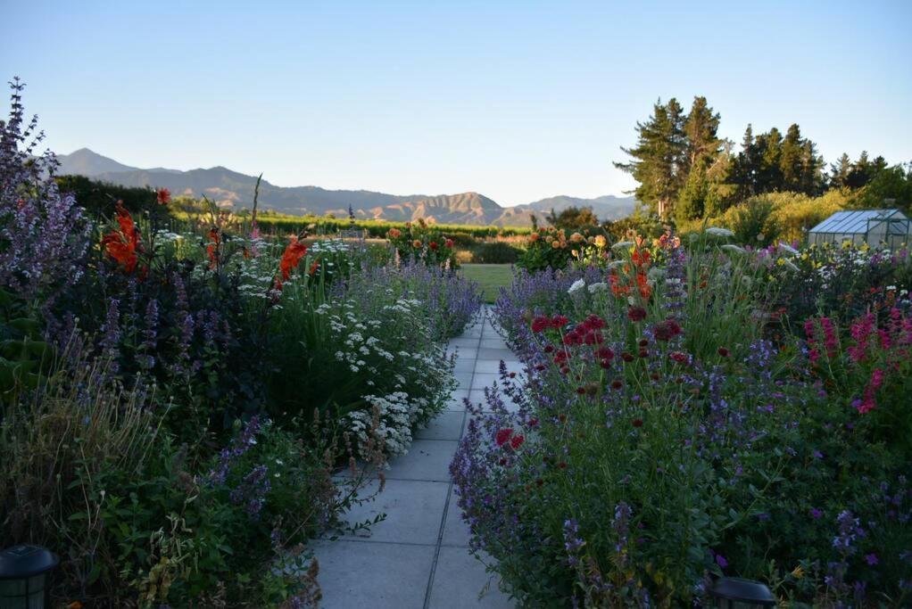 Ddog Vineyard & Bnb Renwick Eksteriør bilde