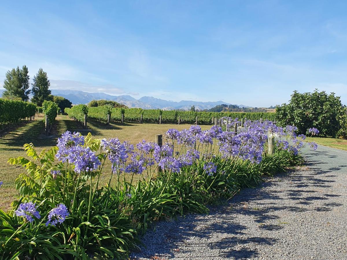 Ddog Vineyard & Bnb Renwick Eksteriør bilde