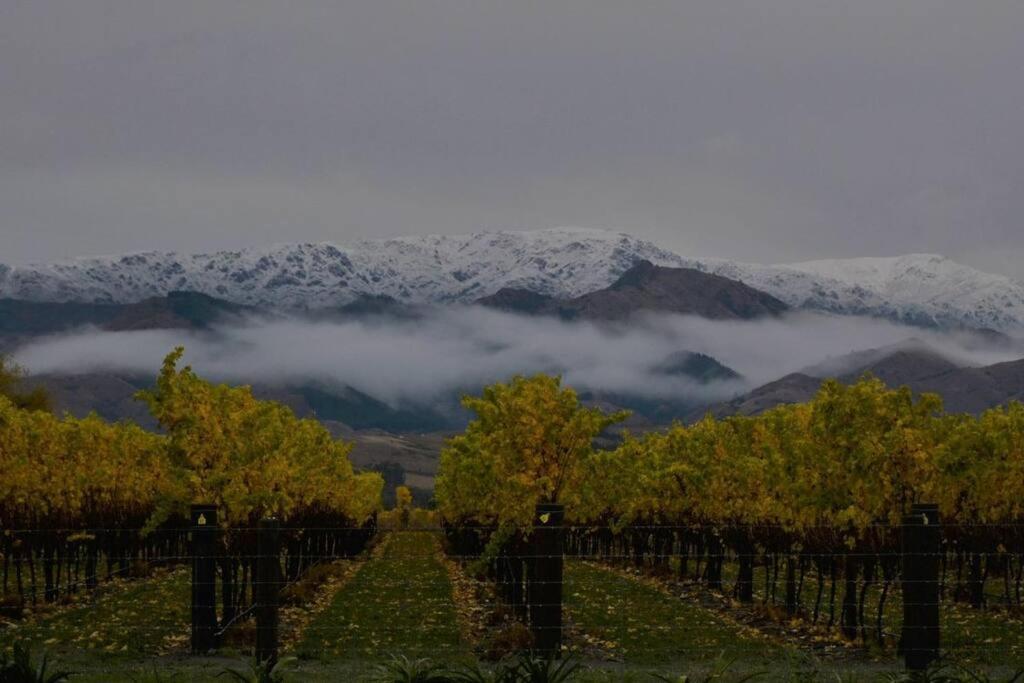 Ddog Vineyard & Bnb Renwick Eksteriør bilde