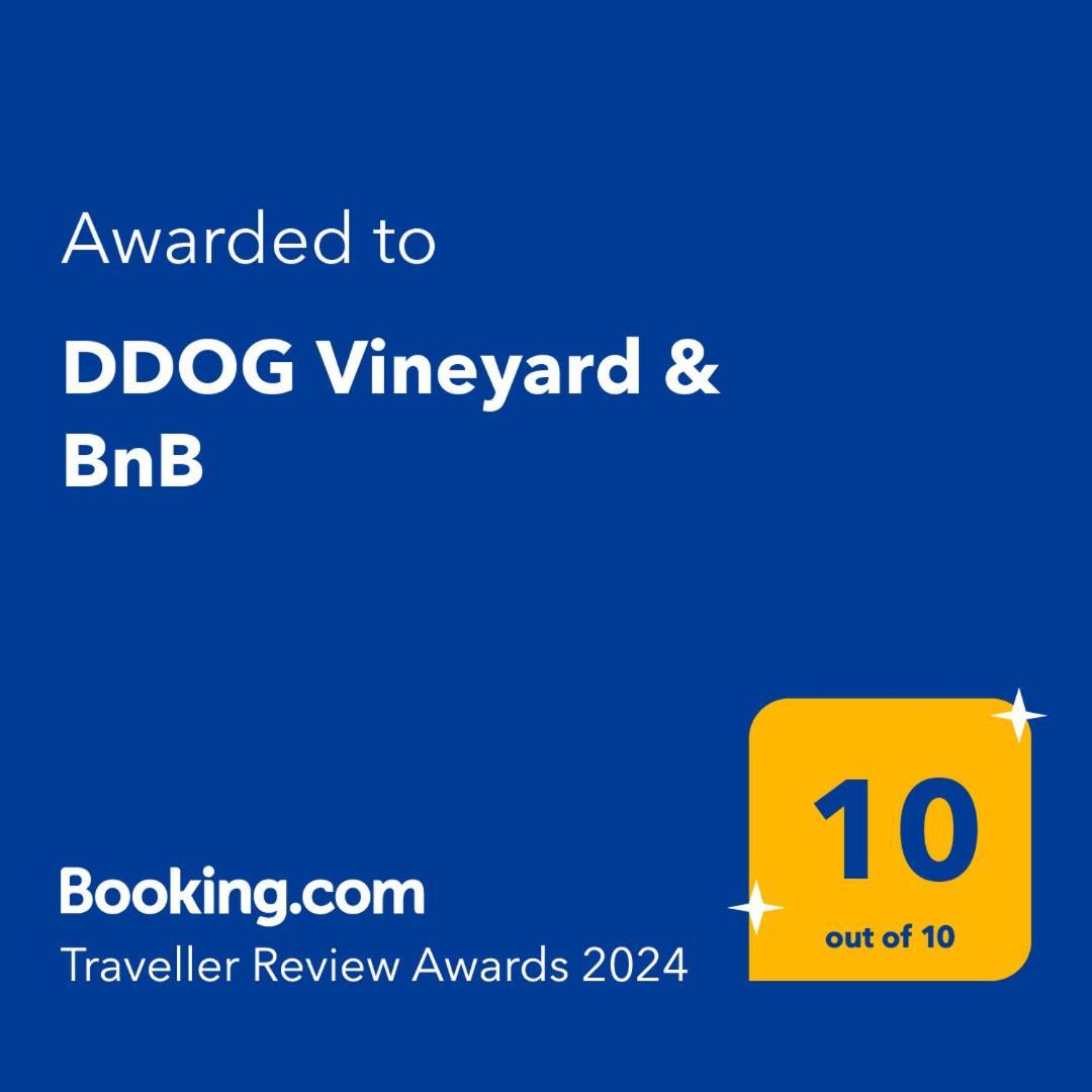 Ddog Vineyard & Bnb Renwick Eksteriør bilde