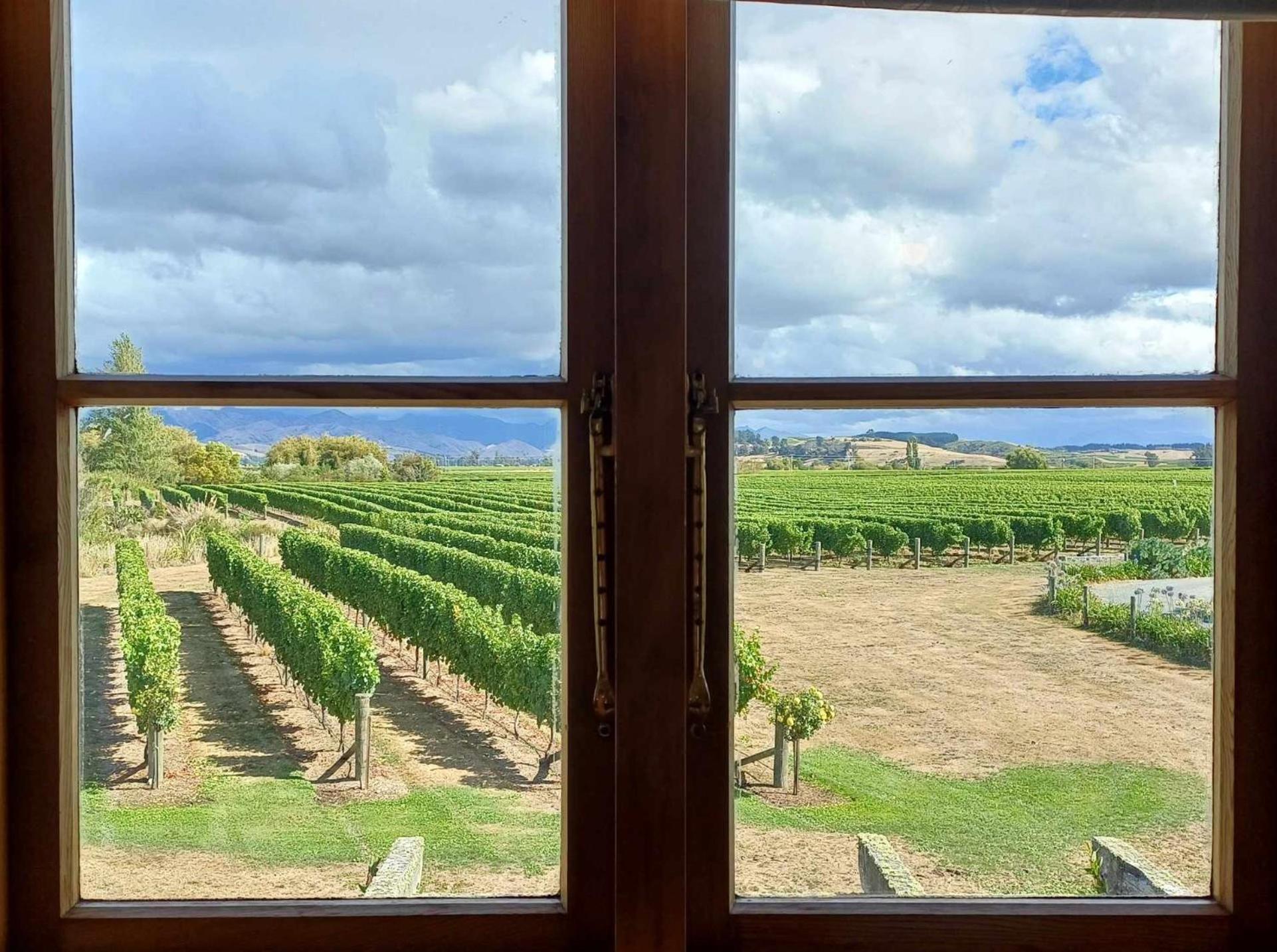 Ddog Vineyard & Bnb Renwick Eksteriør bilde