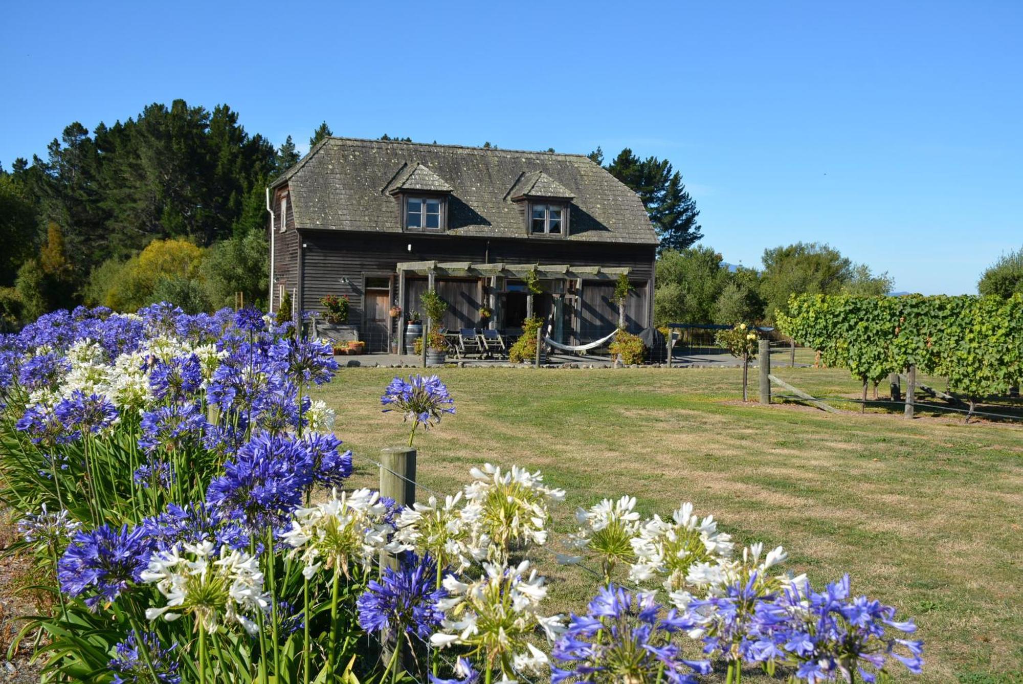 Ddog Vineyard & Bnb Renwick Eksteriør bilde